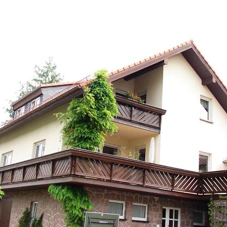 Ferienwohnung Im Dg, Parkplatz Vorm Haus, Wlan Rosenthal-Bielatal Экстерьер фото
